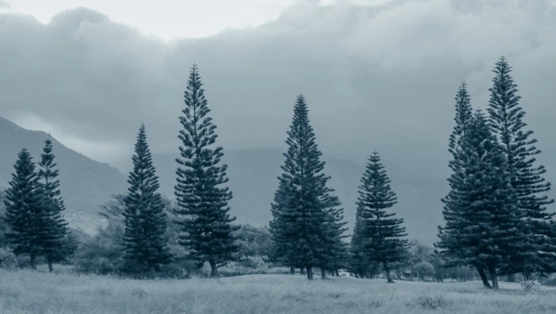 Народные приметы на 30 декабря 2023 года: что строго нельзя делать