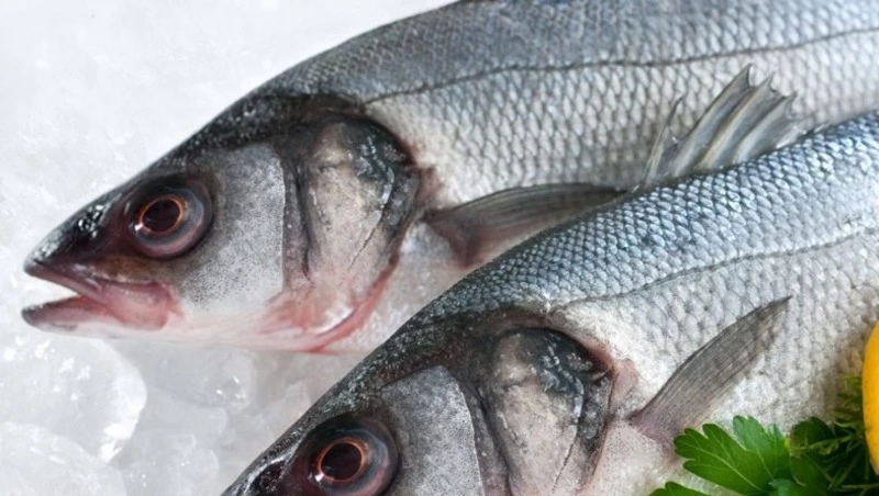 Свежая рыба – сразу на прилавки