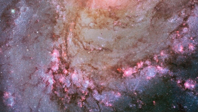 Гороскоп на 10 декабря 2023 года для всех знаков зодиака