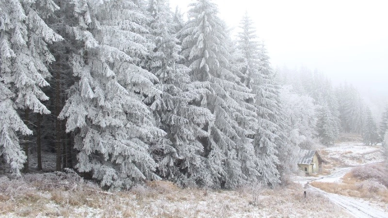 Церковный праздник 21 декабря 2023 года: что нельзя делать, приметы