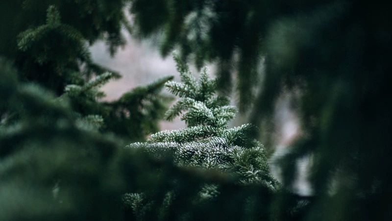 Народные приметы на 8 января 2024 года: что строго нельзя делать