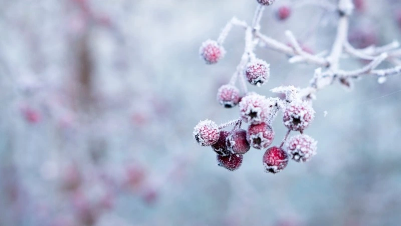 Народные приметы на 6 декабря 2023 года: что строго нельзя делать