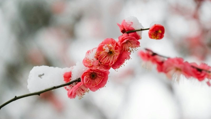 Народные приметы 1 апреля: что строго нельзя делать 