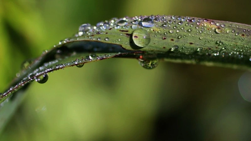 Стало известно, какой будет погода в Сахалинской области в начале июля    