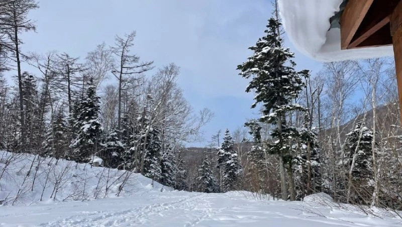 Народные приметы на 25 февраля 2024 года: что строго нельзя делать в этот день