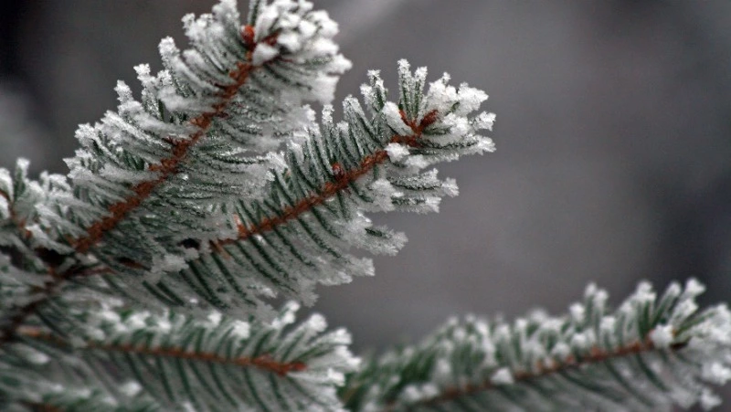 Народные приметы на 1 января 2024 года: что строго нельзя делать