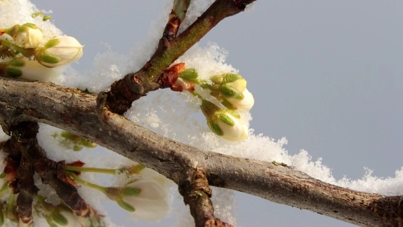 Народные приметы 21 апреля: что строго нельзя делать