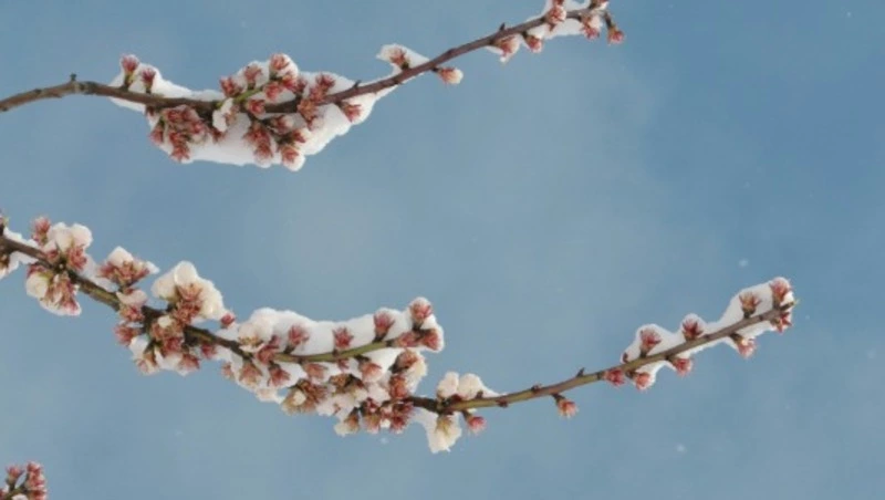 Народные приметы 17 марта: что строго нельзя делать