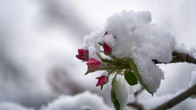 29 февраля 2024: какой сегодня праздник, события в этот день 