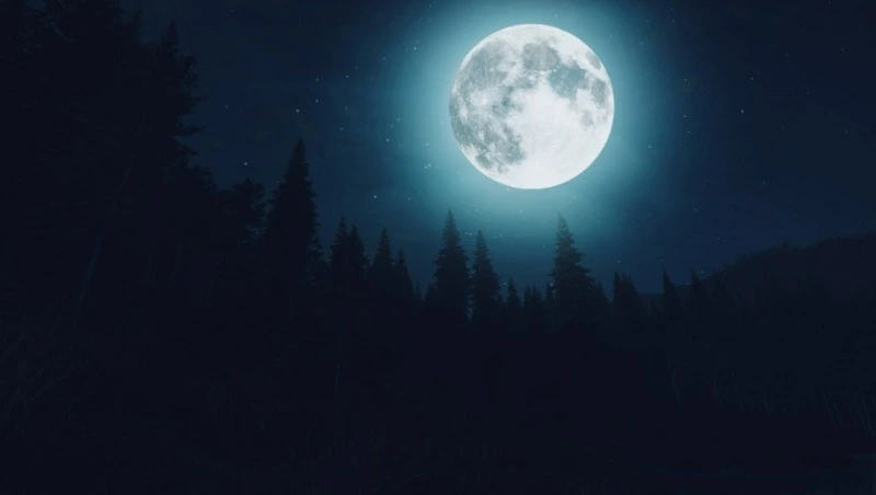 Гороскоп на 11 июня 2024 года для каждого знака зодиака 