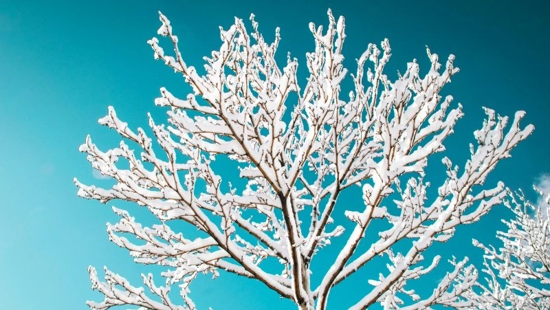 Церковный праздник 23 января 2024 года: что нельзя делать, приметы