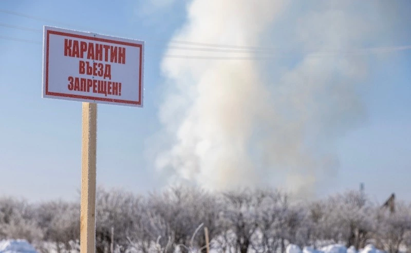 Правительство Сахалинской области окажет поддержку птицефабрике "Островная"