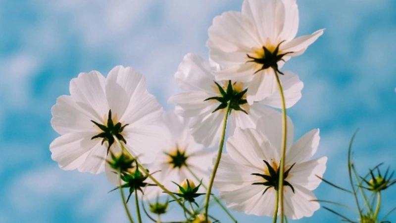 Народные приметы 3 июня: что строго нельзя делать