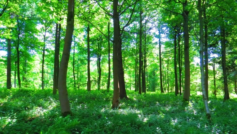 8 апреля: какой сегодня праздник, что было в этот день