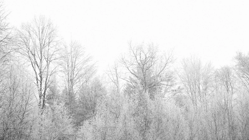 Мощный циклон из Японии испортит погоду на Сахалине и Курилах