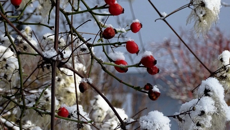 Народные приметы на 16 февраля: что строго нельзя делать 