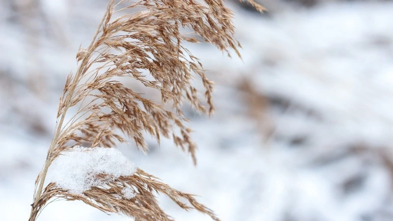 Церковный праздник 11 января 2024 года: что нельзя делать, приметы