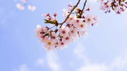 В России ожидаются длинные выходные: сколько продлятся 