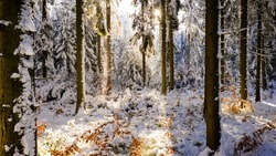 Северо-западный ветер и -2 градуса: погода на Сахалине и Курилах 7 февраля