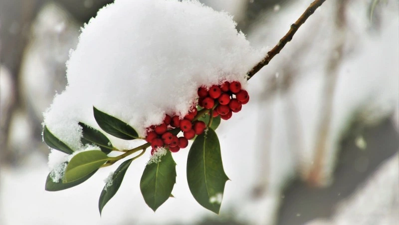 Народные приметы на 9 апреля: что строго нельзя делать 