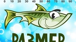 С Днем рыбака 2024: красивые картинки 