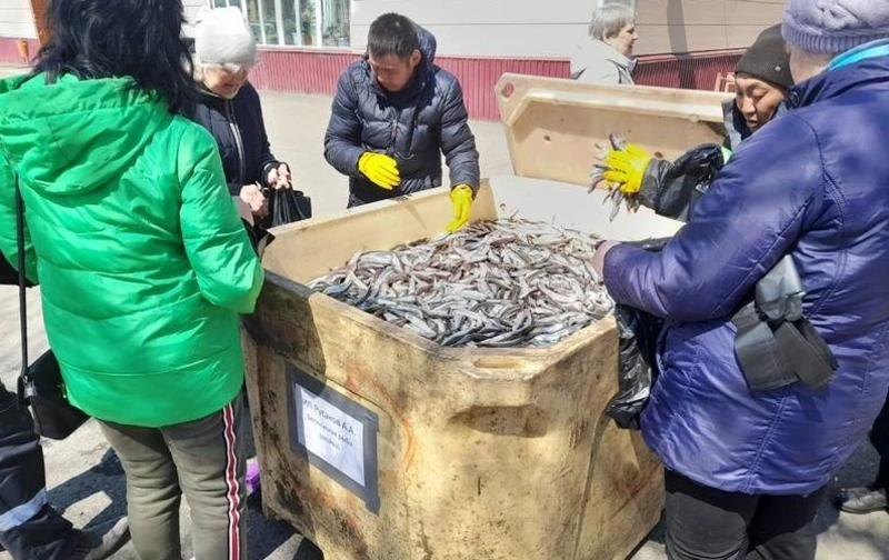 Новые предприятия включаются в программу реализации свежевыловленной рыбы по сниженны