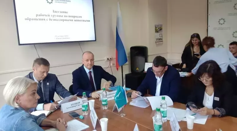 Что делать с бродячими собаками: на Сахалине обсудили радикальные меры