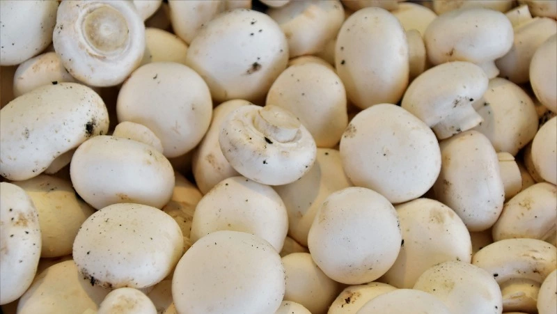 29 марта 2024: какой сегодня праздник, события в этот день