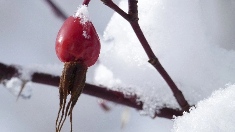 Народные приметы 18 марта: что строго нельзя делать