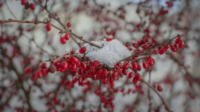 Народный и церковный праздник 6 марта: что строго нельзя делать 