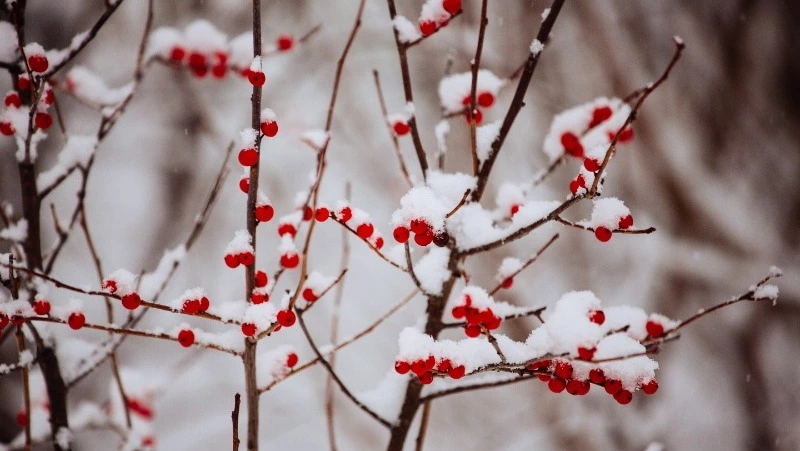 Народные приметы на 12 февраля: что строго нельзя делать