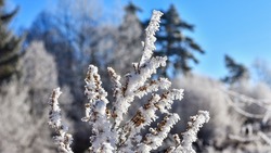Северный ветер и сильный мороз: погода на Сахалине и Курилах 10 января 