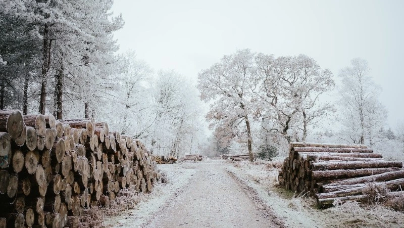 Церковный праздник 31 января 2024 года: что нельзя делать, приметы 