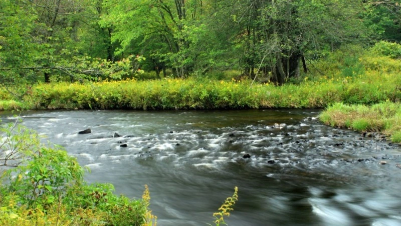 Народные приметы на 8 июня 2024: что строго нельзя делать 