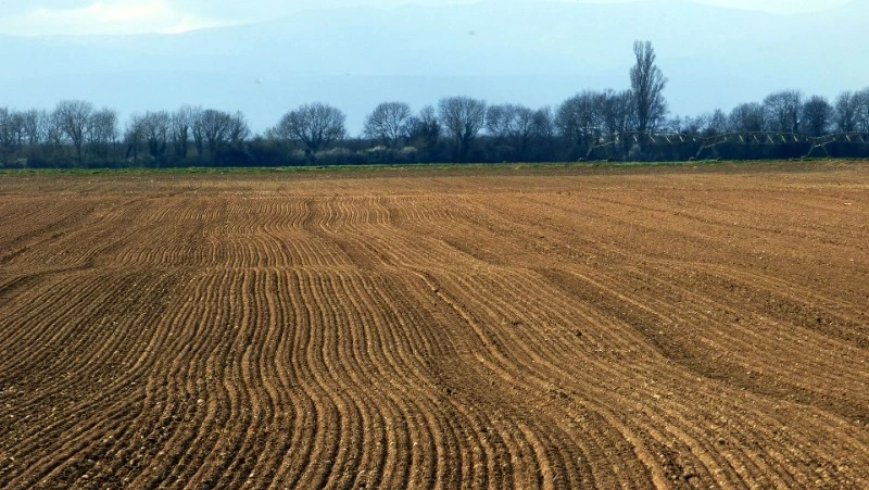 Народные приметы на 23 мая: что строго нельзя делать 