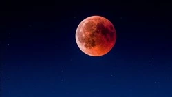 Денежный лунный календарь на март 2024 года: лучшие дни для траты денег  