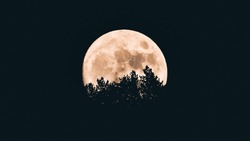 Лунный календарь на январь на 2024 года: когда приступать к важным делам  