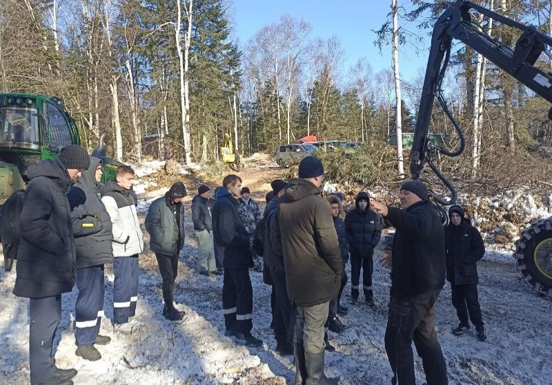 В лесорубы я пойду, пусть меня научат