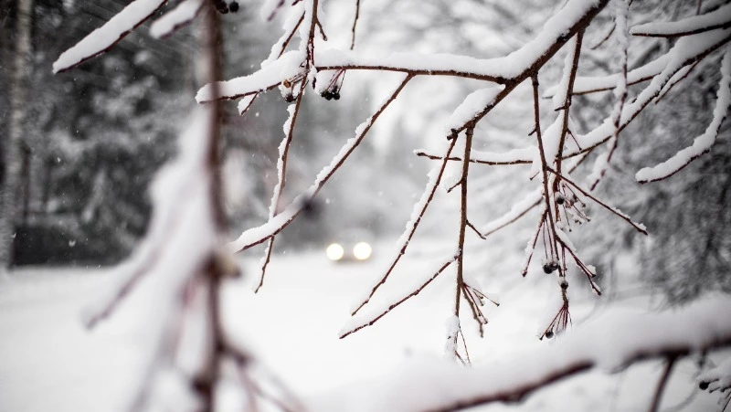 Народные приметы на 13 декабря 2023 года: что строго нельзя делать