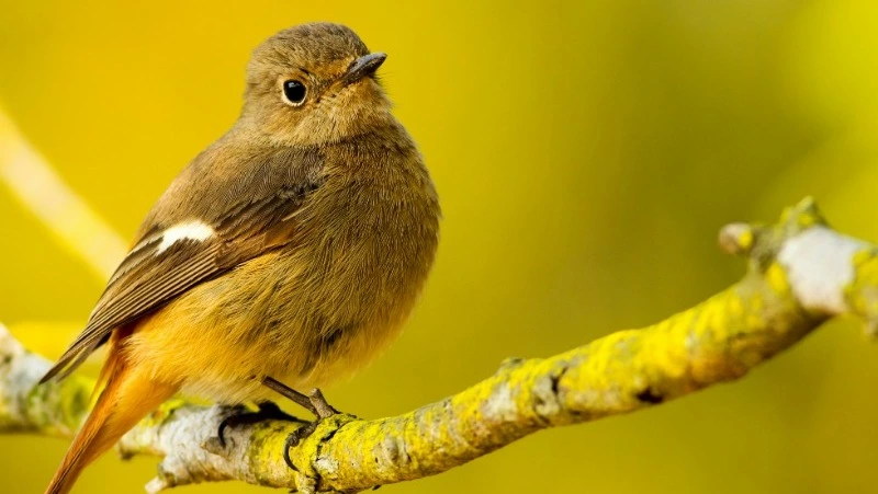 Народные приметы на 3 апреля: что строго нельзя делать 