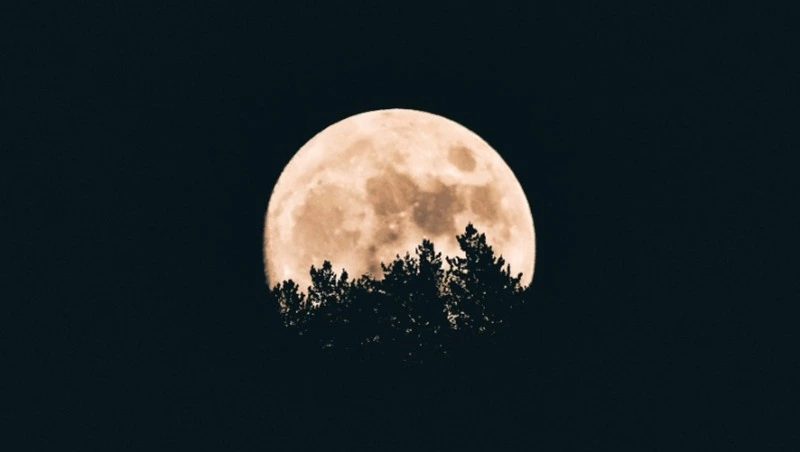 Гороскоп на 3 июня 2024: что обещают астрологи 