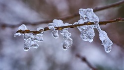 Потепление до +4 градусов ожидается на Сахалине и Курилах 13 февраля         