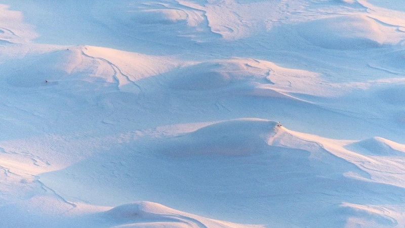 Стал известен прогноз погоды на Сахалине и Курилах на 30 января