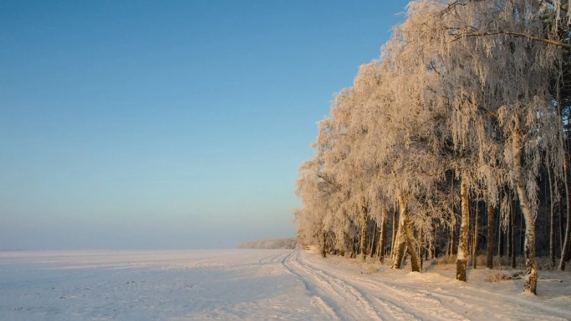 Народные приметы на 5 января 2024 года: что строго нельзя делать
