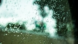Дожди разной интенсивности пообещали синоптики в Сахалинской области на предстоящей неделе 
