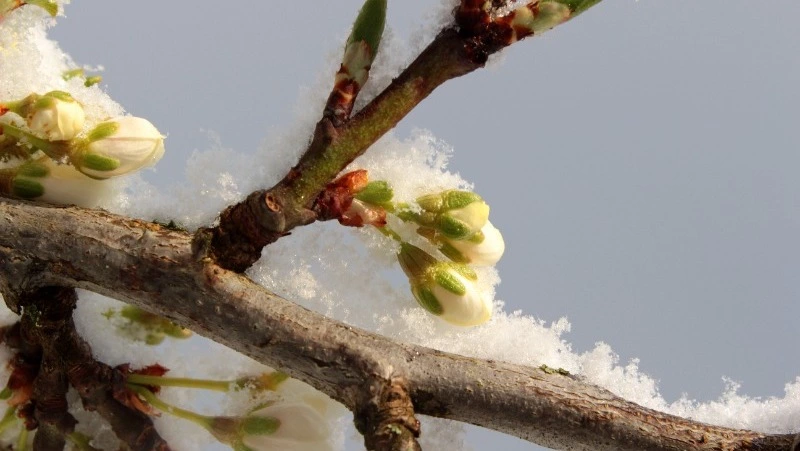 Народные приметы на 21 февраля: что строго нельзя делать 