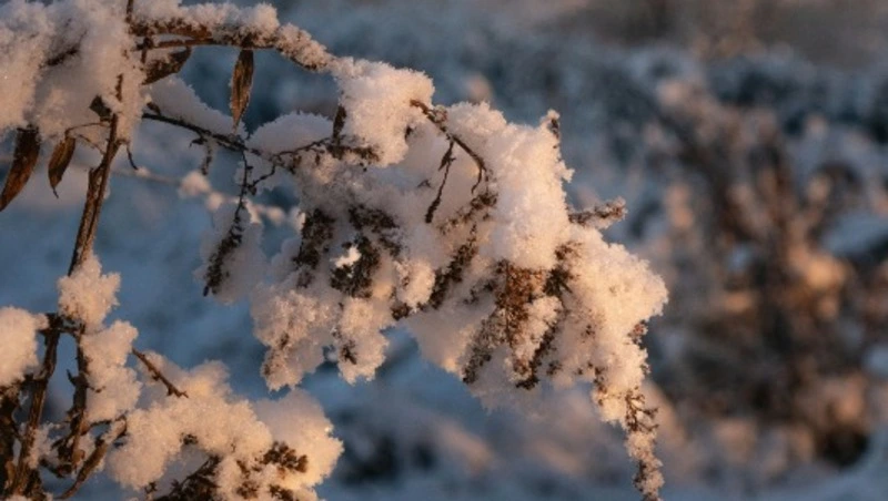 Синоптики дали прогноз погоды в Сахалинской области на 19 марта 