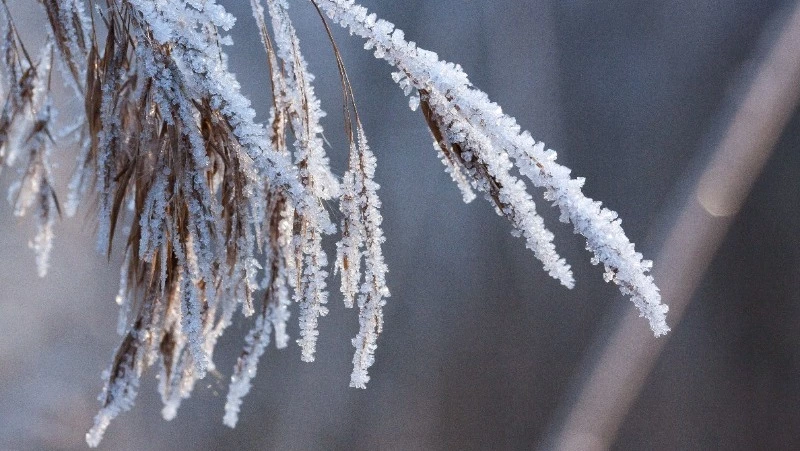 Народные приметы на 17 февраля: что строго нельзя делать 
