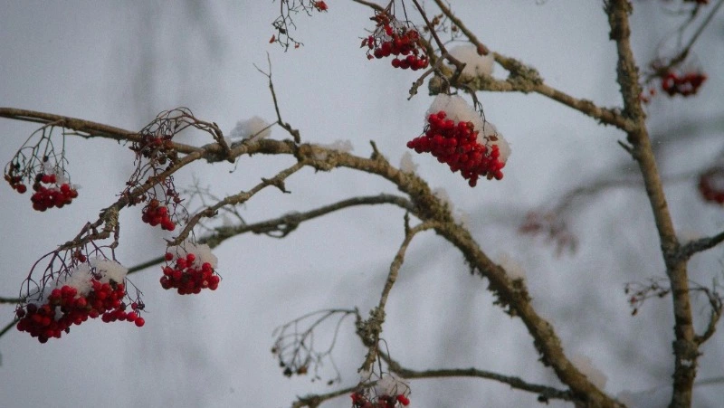 Народные приметы на 20 марта: что строго нельзя делать  