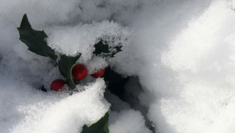 Народные приметы на 11 февраля: что строго нельзя делать 